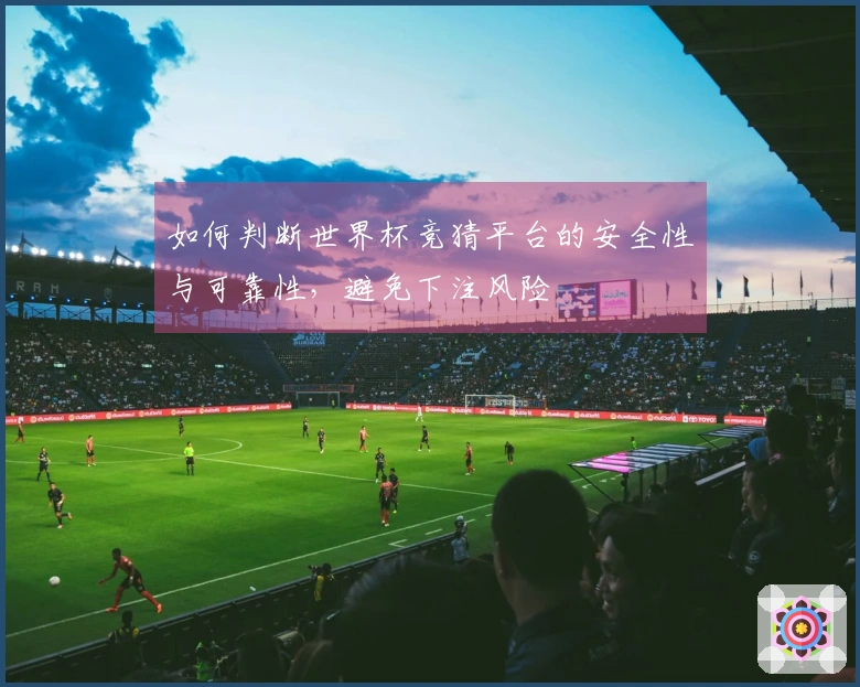 如何判断世界杯竞猜平台的安全性与可靠性，避免下注风险