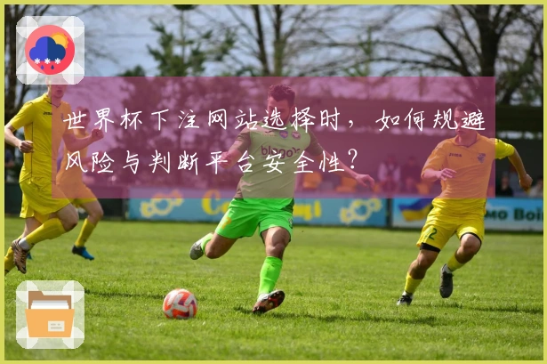 世界杯下注网站选择时，如何规避风险与判断平台安全性？